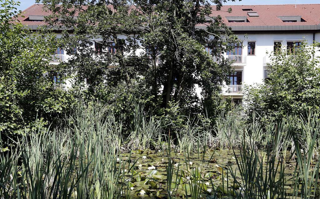 Tagungs- Und Bildungszentrum Steinbach/Taunus 스테인바크앰투너스 외부 사진